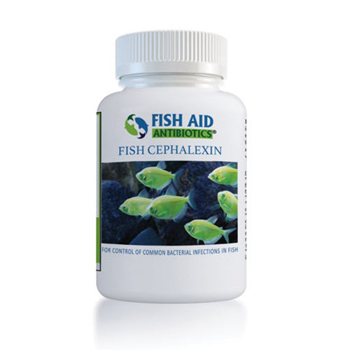 Fish Ceph 500mg 30-Capsules